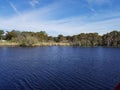 Marshland on St. John`s river, Florida Royalty Free Stock Photo