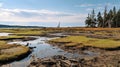 Majestic Marsh Shores: A Cabincore Post-apocalyptic Landscape