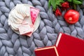 Marshmallow, books, pomegranate and flowers on the gray knitted blanket from merino wool Royalty Free Stock Photo