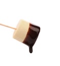 Marshmallow in chocolate syrop. Isolated. Royalty Free Stock Photo