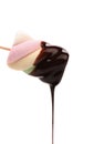 Marshmallow in chocolate syrop. Isolated. Royalty Free Stock Photo