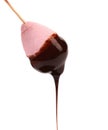 Marshmallow in chocolate syrop. Isolated. Royalty Free Stock Photo