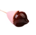 Marshmallow in chocolate syrop. Isolated. Royalty Free Stock Photo