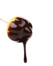 Marshmallow in chocolate syrop. Isolated. Royalty Free Stock Photo