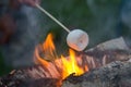 Marshmallow cooking on firewood