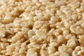 Marshmallow Crispy Rice Treat Royalty Free Stock Photo