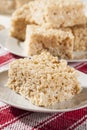 Marshmallow Crispy Rice Treat Royalty Free Stock Photo