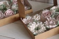 Marshmallow flowers on trays. Homemade zephyr. Close-up