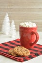 Marshmallow hot chocolate with cookies Royalty Free Stock Photo