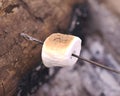 Marshmallow Roasting On A Open Fire Royalty Free Stock Photo