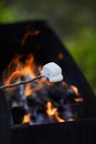 Marshmallow roasting over the fire flames. Marshmallow Royalty Free Stock Photo