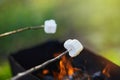 Marshmallow roasting over the fire flames. Marshmallow Royalty Free Stock Photo