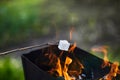 Marshmallow roasting over the fire flames. Marshmallow Royalty Free Stock Photo