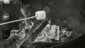Marshmallow roasting on a stick over a campfire, surrounded by embers and logs Royalty Free Stock Photo