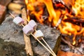 Marshmallow on skewers is fried at the stake Royalty Free Stock Photo