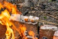 Marshmallow on skewers is fried at the stake Royalty Free Stock Photo