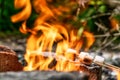 Marshmallow on skewers is fried at the stake Royalty Free Stock Photo