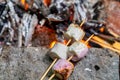Marshmallow on skewers is fried at the stake Royalty Free Stock Photo