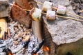 Marshmallow on skewers is fried at the stake Royalty Free Stock Photo