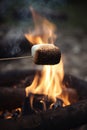 Marshmallow on a stick being roasted over a camping fire AI generated Royalty Free Stock Photo