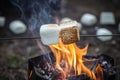 Marshmallow on a stick being roasted over a camping fire AI generated