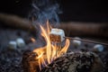 Marshmallow on a stick being roasted over a camping fire AI generated