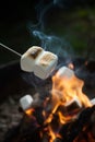 Marshmallow on a stick being roasted over a camping fire AI generated