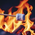 Marshmallow on a Stick Held Into an Open Flame