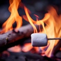 Marshmallow on a Stick Held Over a Campfire Flame