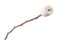Marshmallow on a Stick Royalty Free Stock Photo