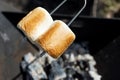 Marshmallow on a stick roasted over a camping fire Royalty Free Stock Photo