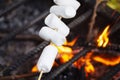 Marshmallows are fried over a fire. Toasted marshmallows on an open fire on a wooden stick