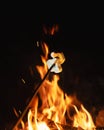 Marshmallows on wooden stick roasted on camp fire close up Royalty Free Stock Photo