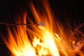 Marshmellow in fire Royalty Free Stock Photo