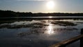 Marshy fishing area of the dock on Texas lake at sunset