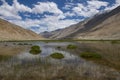 Marshy Landscape at Chumathang Platue near Pangong Lake, Ladakh, India Royalty Free Stock Photo