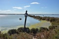 Marshy landscape