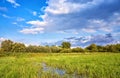 Marshy meadow with clouds in the background Royalty Free Stock Photo