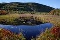 Marshy Pond At Acadia National Park Royalty Free Stock Photo