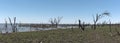 The marshy shoreline of Lake Ngami south of the Okawango Delta in Botswana Royalty Free Stock Photo