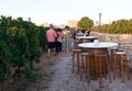 MARSOVIN WINEYARD - Marsaxlokk, Malta - aug 12, 2017: Wine tasting at Marsovin wineyard in Marsaxlokk, Malta