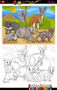 Marsupials animals cartoon coloring book Royalty Free Stock Photo