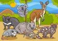 Marsupials animals cartoon illustration Royalty Free Stock Photo