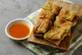 Martabak Telor or Martabak Telur. Savory pan-fried pastry stuffed with egg, meat and spices Royalty Free Stock Photo