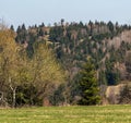 Martakov kopec hill with lookout tower in springtime Javorniky mountains in Slovakia