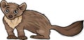 Marten animal cartoon illustration