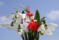 Martenitsa on background of blue sky and snowdrop