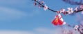 Martenitsa on blossoming tree branch against blue sky. Decoration in Bulgaria on 1st March holiday. Banner, copy space