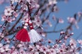 Martenitsa on blossoming tree - symbol of beginning of spring. Bulgaria 1st of March holiday Seasonal natural background