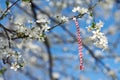 Martenitsa Bulgarian tradition Royalty Free Stock Photo